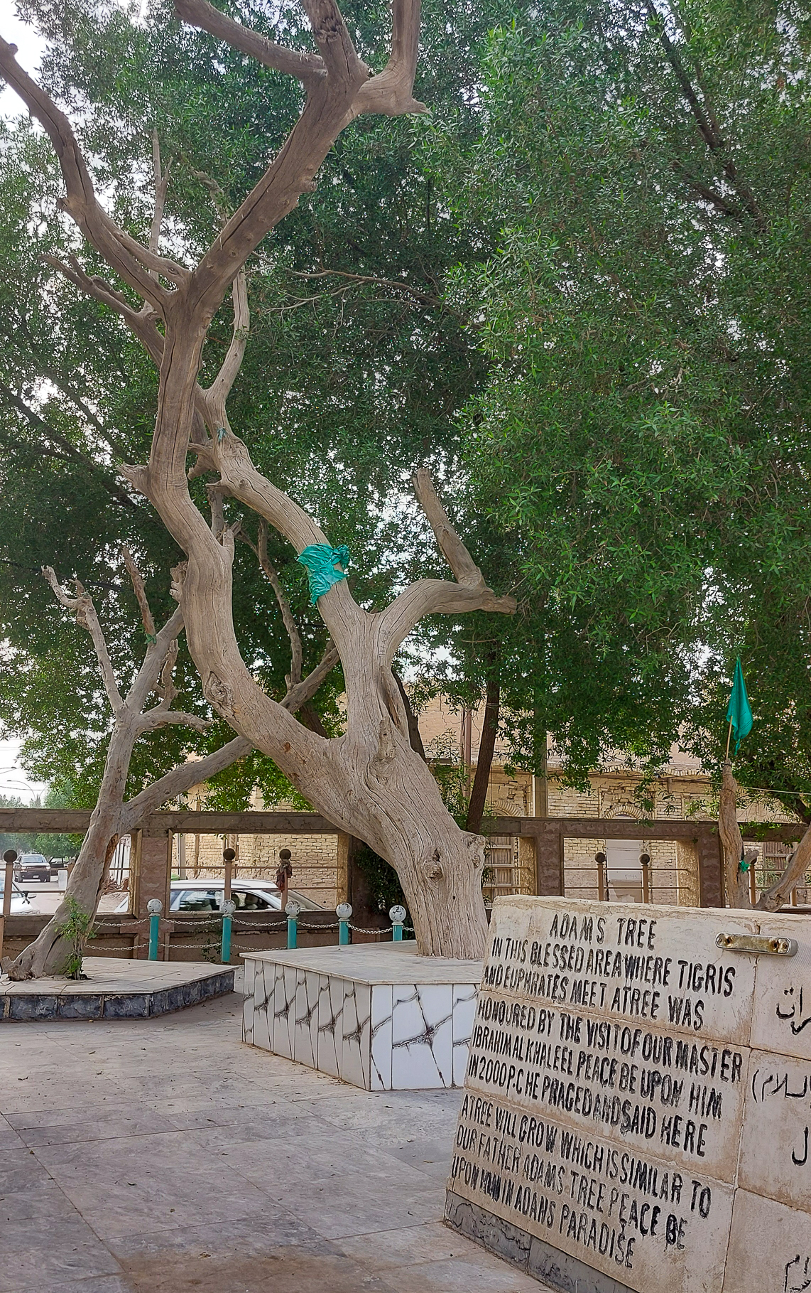 <span  class="uc_style_uc_tiles_grid_image_elementor_uc_items_attribute_title" style="color:#ffffff;">The Tree of Knowledge in El Qurna</span>