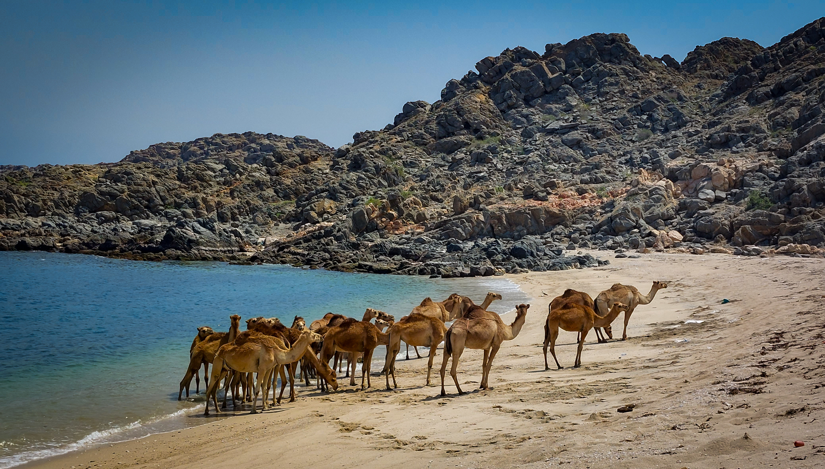 <span  class="uc_style_uc_tiles_grid_image_elementor_uc_items_attribute_title" style="color:#ffffff;">beach camels ;-)</span>