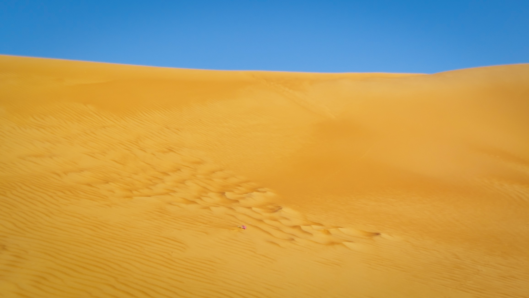 <span  class="uc_style_uc_tiles_grid_image_elementor_uc_items_attribute_title" style="color:#ffffff;">Omani desert: Wahiba Sands (there we have to go!)</span>