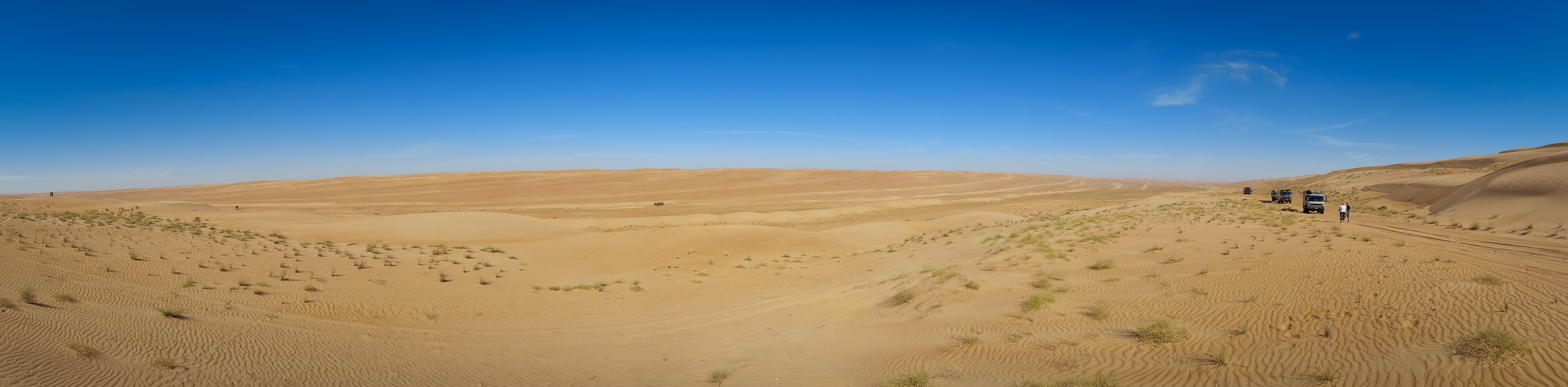 <span  class="uc_style_uc_tiles_grid_image_elementor_uc_items_attribute_title" style="color:#ffffff;">Wahiba Sands</span>