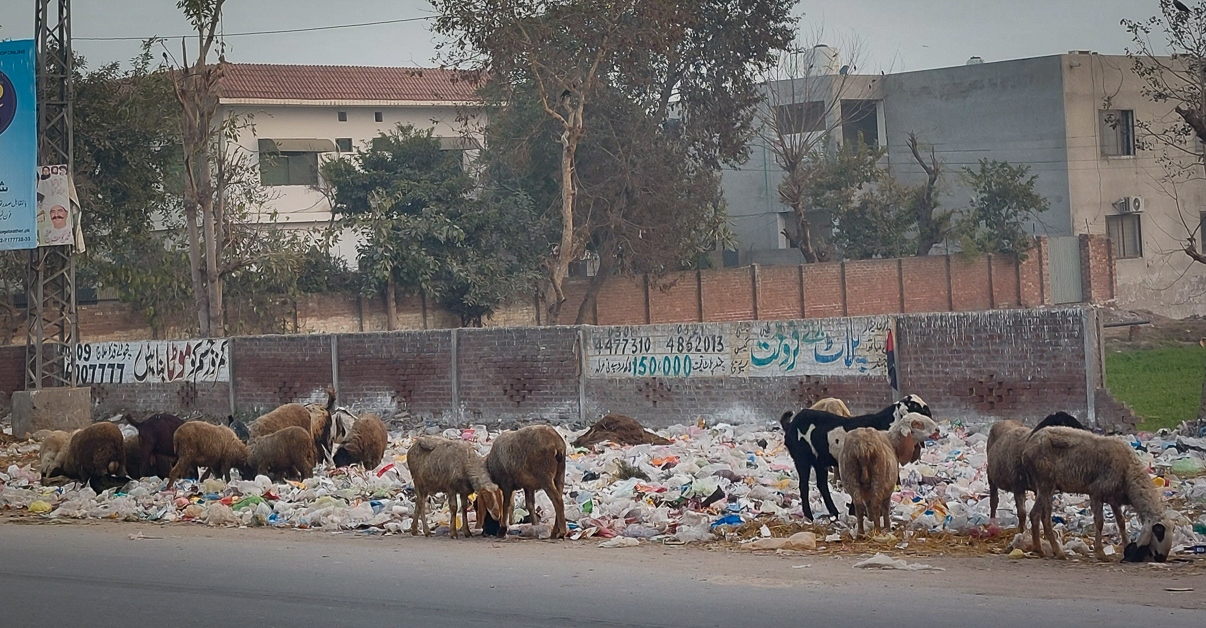<span  class="uc_style_uc_tiles_grid_image_elementor_uc_items_attribute_title" style="color:#ffffff;">Also in Pakistan: the handling of garbage is a special topic</span>