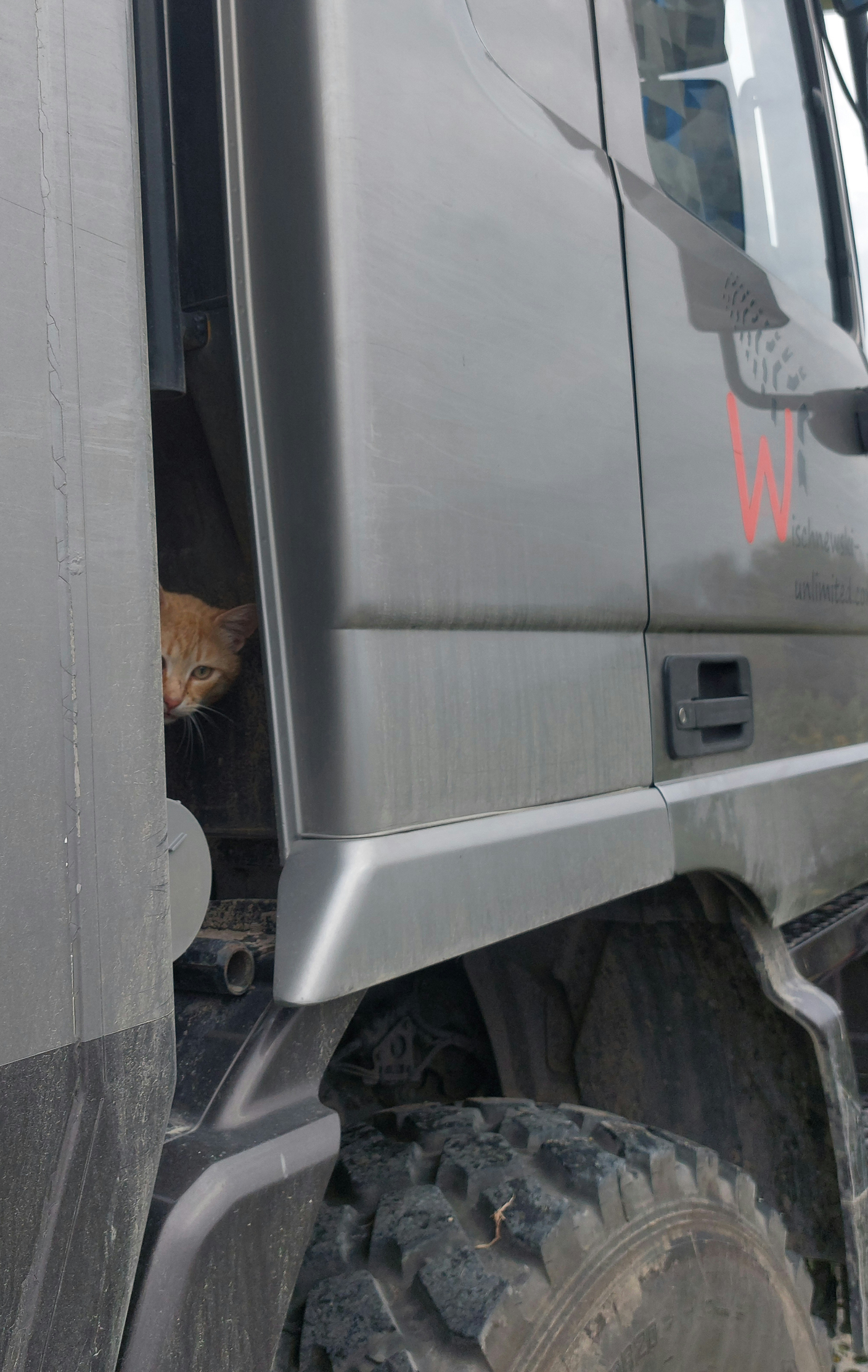 <span  class="uc_style_uc_tiles_grid_image_elementor_uc_items_attribute_title" style="color:#ffffff;">Visitor!</span>