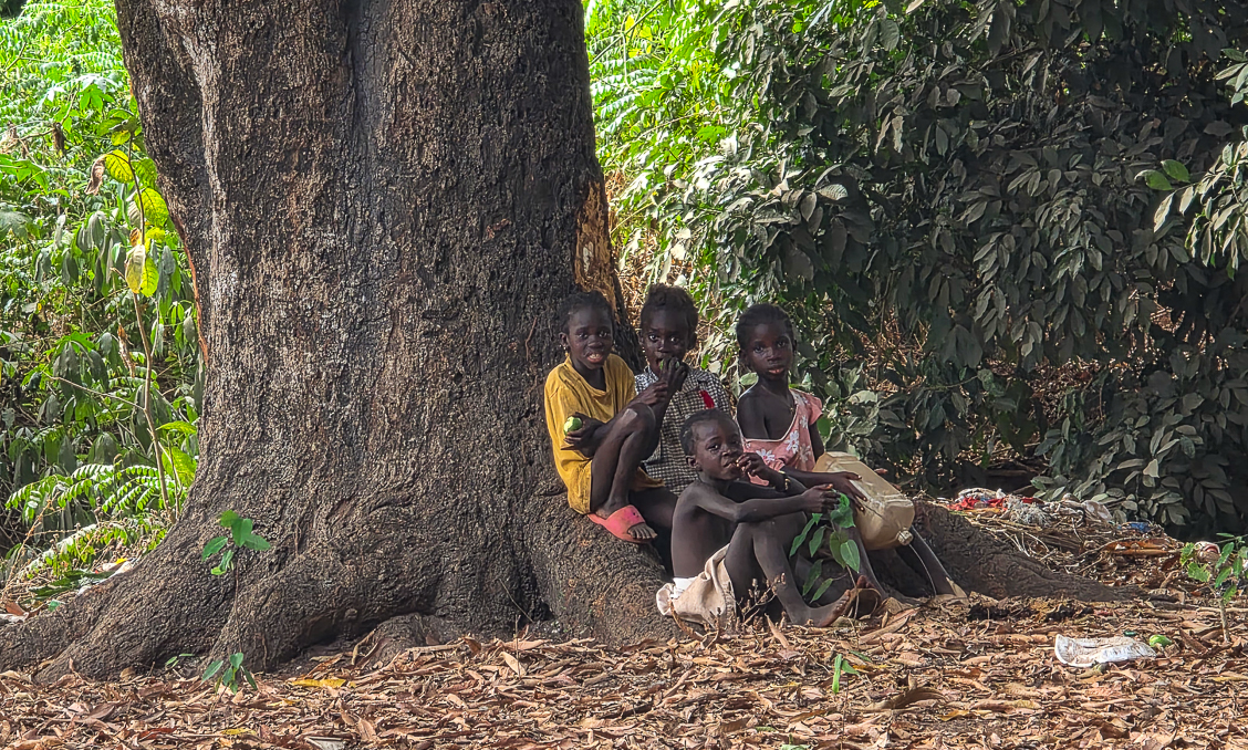 <span  class="uc_style_uc_tiles_grid_image_elementor_uc_items_attribute_title" style="color:#ffffff;">A lot of kids in Africa, everywhere, a very young population</span>