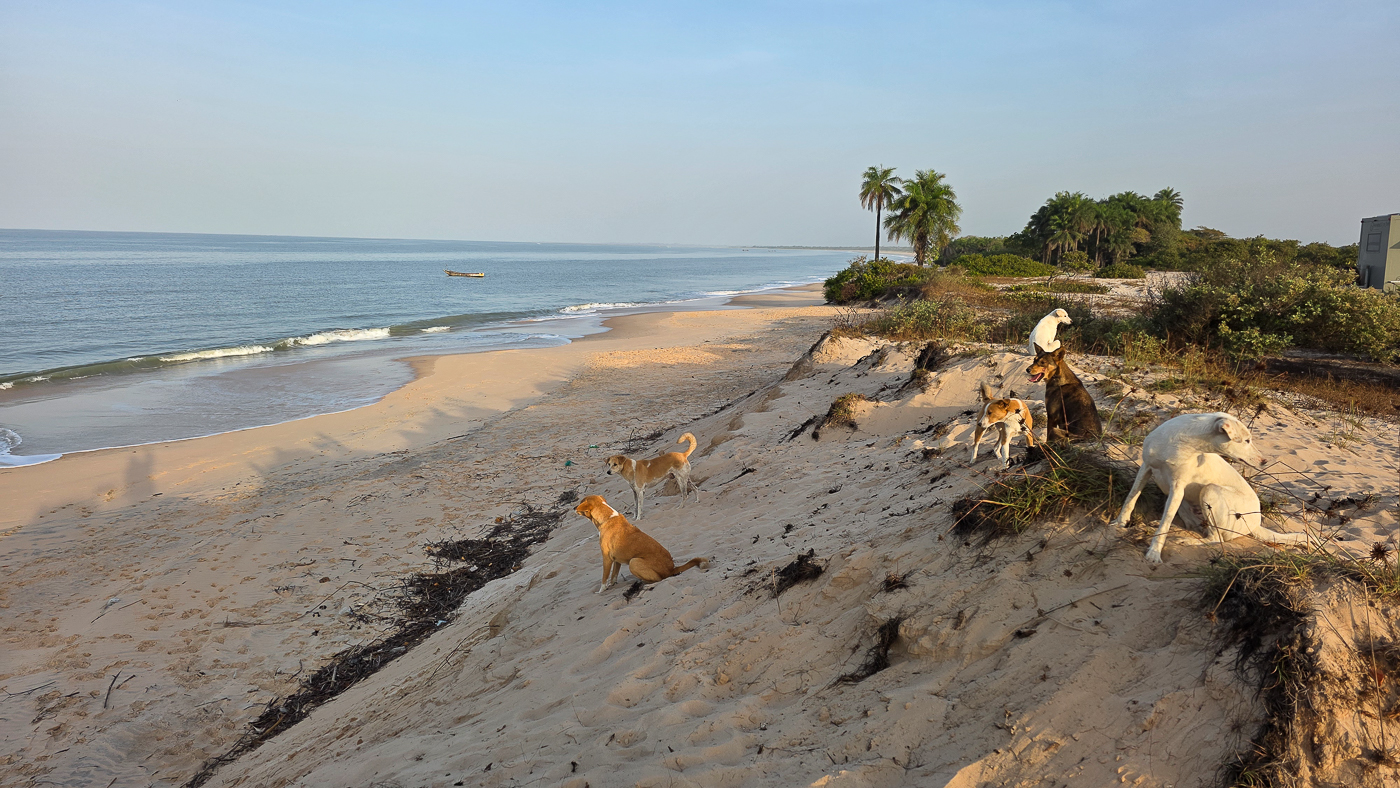 <span  class="uc_style_uc_tiles_grid_image_elementor_uc_items_attribute_title" style="color:#ffffff;">Guinea-Bissau-2-2</span>