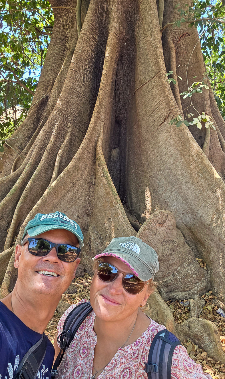 <span  class="uc_style_uc_tiles_grid_image_elementor_uc_items_attribute_title" style="color:#ffffff;">Another impressive Kapok tree</span>