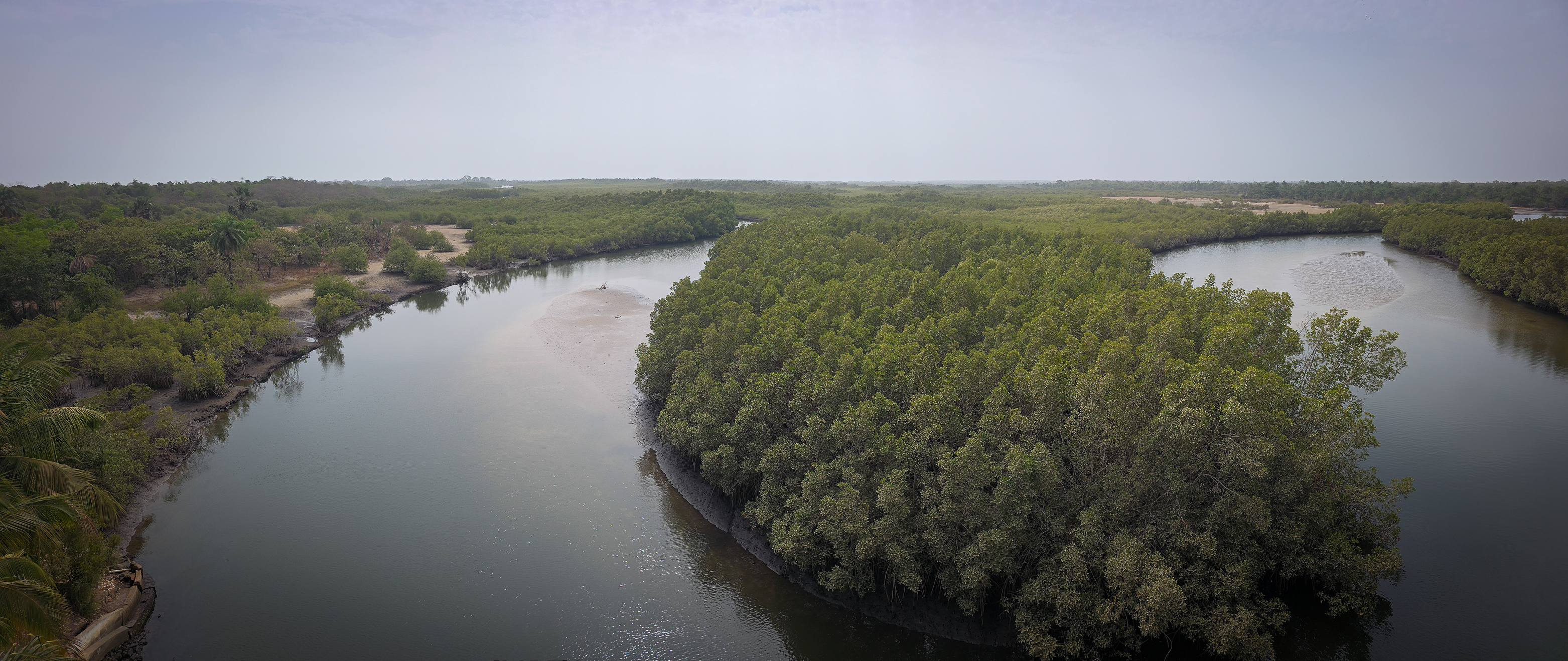 <span  class="uc_style_uc_tiles_grid_image_elementor_uc_items_attribute_title" style="color:#ffffff;">Gambia River (mangroves)</span>