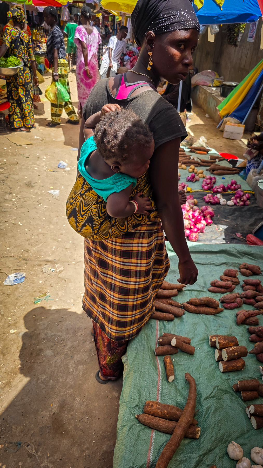 <span  class="uc_style_uc_tiles_grid_image_elementor_uc_items_attribute_title" style="color:#ffffff;">The babies - on the back they ride</span>
