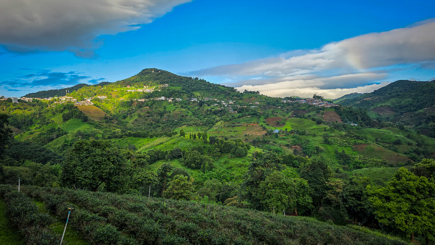 <span  class="uc_style_uc_tiles_grid_image_elementor_uc_items_attribute_title" style="color:#ffffff;">Tea Plantation in the area of Chiang Rai</span>